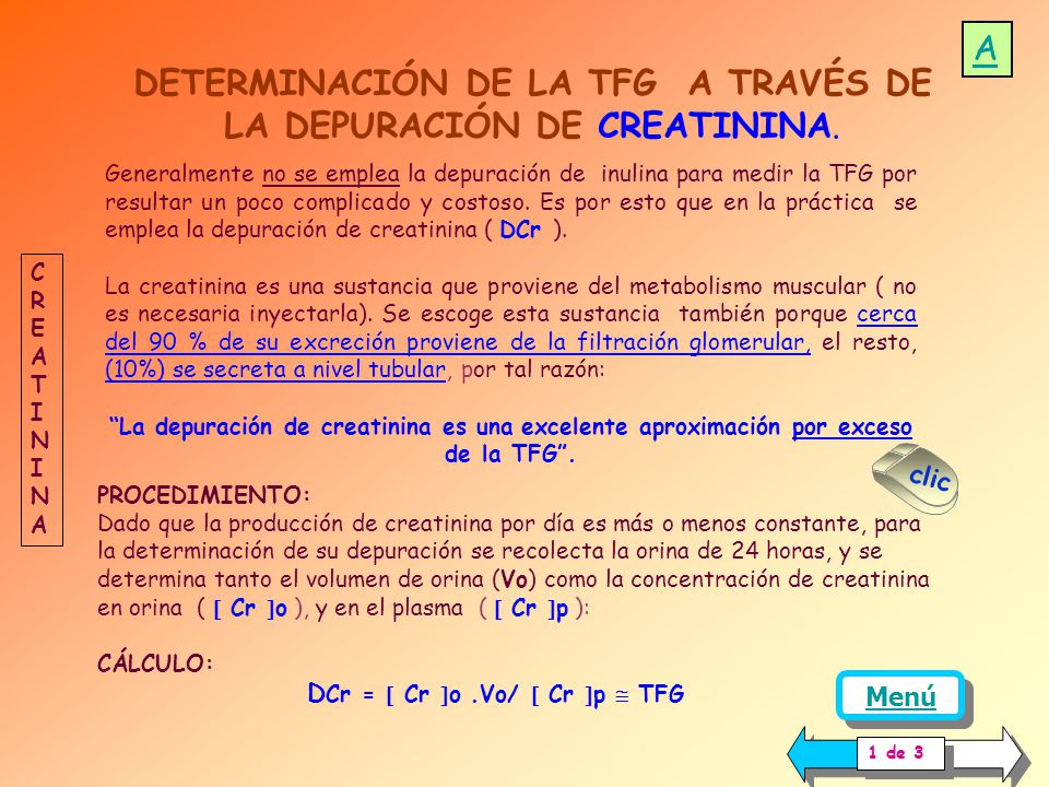 Para que sirve la depuracion de creatinina en orina de 24 hrs Para que sirve la depuracion de creatinina en orina de 24 hrs